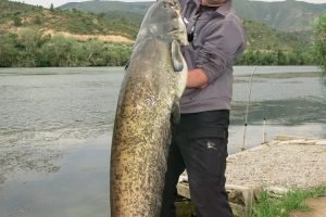 Ebro Spain