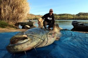 Ebro Spain