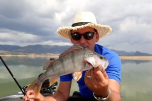 Bass Fishing Lago di Coghinas 2019